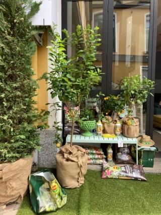 A "La casa Ovunque", installazione immersiva per Fuorisalone2022, il verde in cortile e negli ambienti interni è curato con i prodotti bio di Compo.