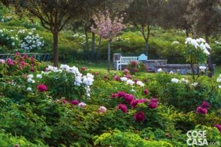 centro-botanico-moutan