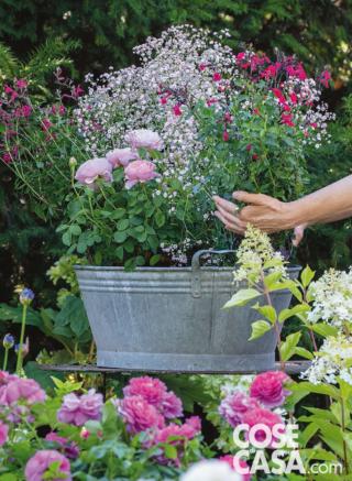 inserire ultima salvia inserire ultima salvia