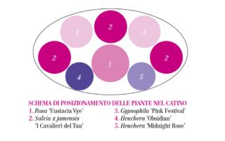 schema per posizionamento schema per posizionamento