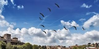 Biodiversità a Roma Biodiversità a Roma