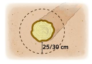 diametro-aiuola diametro-aiuola