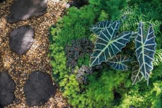 ghiaia in giardino ghiaia in giardino