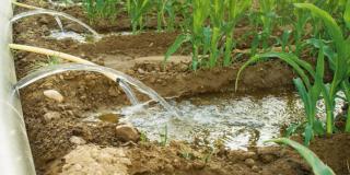irrigazione per scorrimento