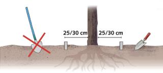 scavo-per-aiuola scavo-per-aiuola
