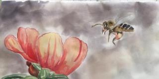Progetto Ex voto. Artisti per Rosalia. Giardino di transizione Progetto Ex voto. Artisti per Rosalia. Giardino di transizione