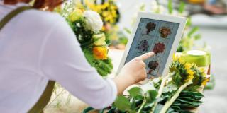 acquistare piante e fiori online