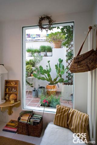 La finestra del soggiorno che inquadra il fico d'India La finestra del soggiorno che inquadra il fico d'India