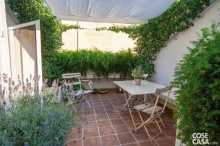 Asparagus e Trachelospermum Asparagus e Trachelospermum