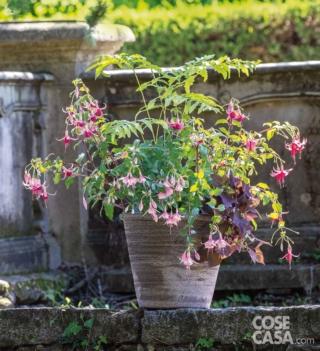 vaso-con-fucsia vaso-con-fucsia