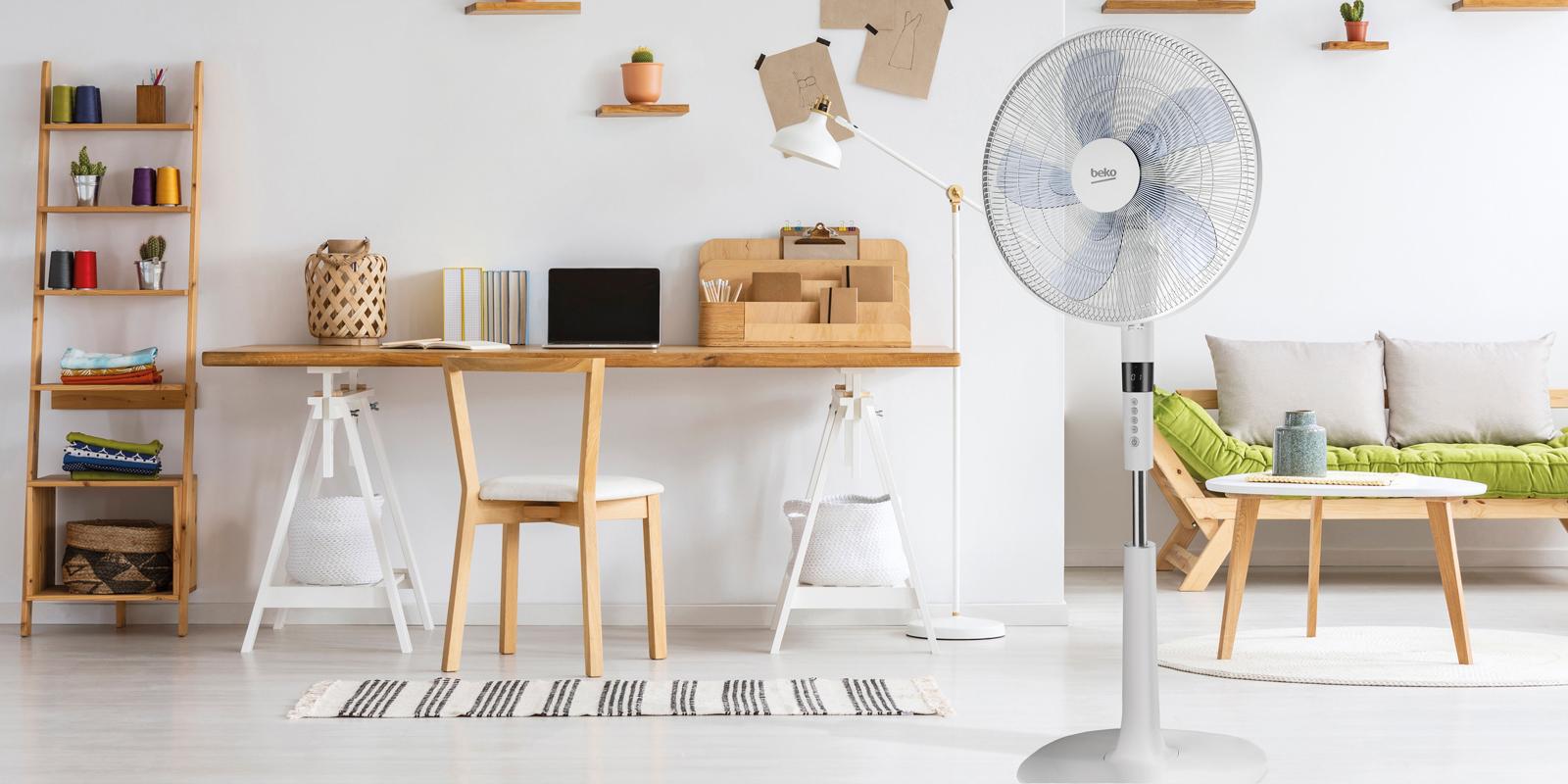 Choose the fan: ceiling, floor, table?