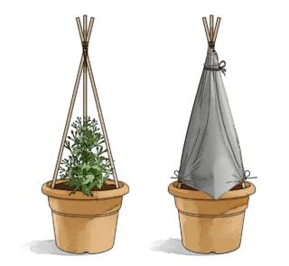 copertura-a-capanna-per-crisantemo