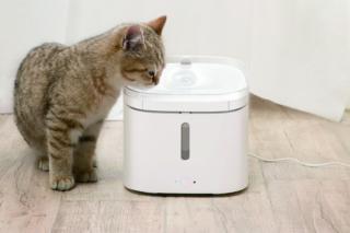 Smart Pet Fountain di Xiaomi