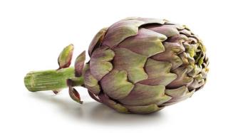 carciofo