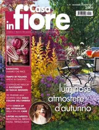 CIF11_cover