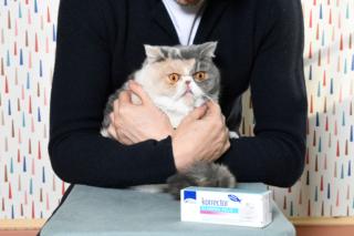 Formevet Korrector Elimina Pelo per gatti Formevet Korrector Elimina Pelo per gatti