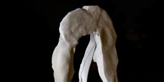 Armonie di pietra. Il paesaggio delle Marche nelle sculture di Giuliano Giuliani Armonie di pietra. Il paesaggio delle Marche nelle sculture di Giuliano Giuliani