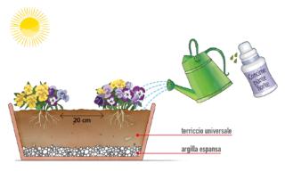 fioriera con viola del pensiero