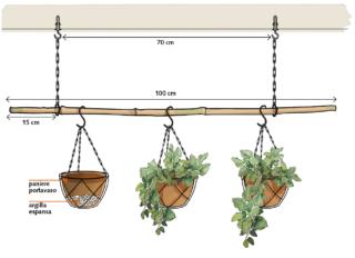 gloating garden con potos gloating garden con potos