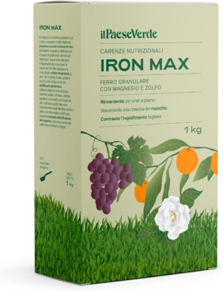 solfato di ferro solfato di ferro