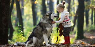 Insegnare al bambino a interagire con cani sconosciuti
