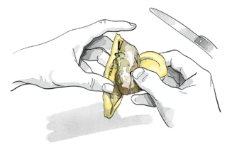 separare la polpa dal seme separare la polpa dal seme