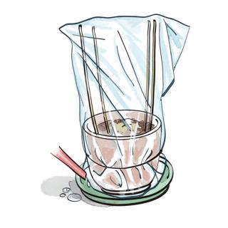 chiudere con un sacchetto di plastica trasparente legato alla base chiudere con un sacchetto di plastica trasparente legato alla base