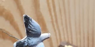 Presepe dal Cielo – Dario Emilio Carli Presepe dal Cielo – Dario Emilio Carli