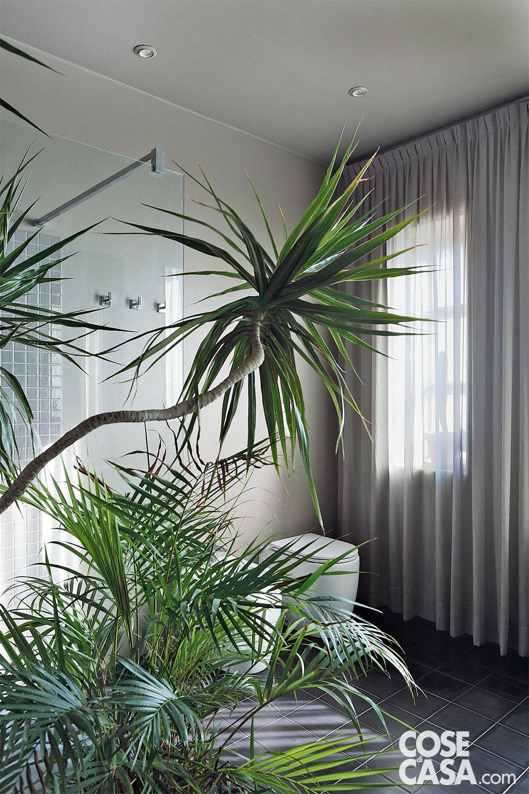 bagno sanitari bagno sanitari