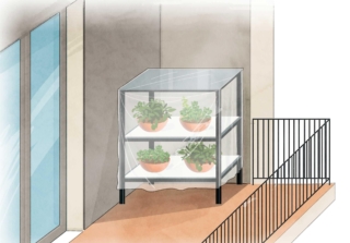 proteggere dal freddo le erbe aromatiche proteggere dal freddo le erbe aromatiche