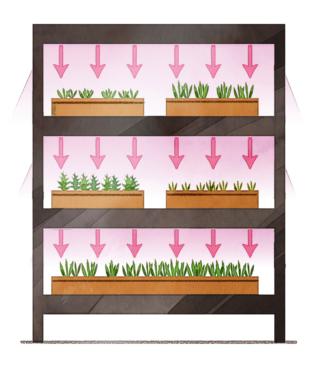 serra domestica a scaffale