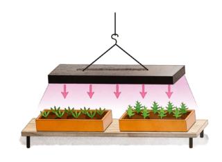 serra-domestica-orizzontale