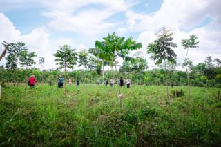 progetto Stand for Climate zeroCO2 progetto Stand for Climate zeroCO2