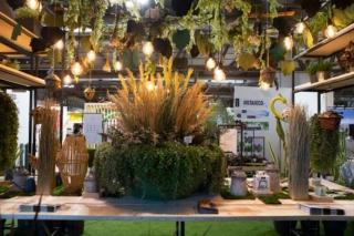 Myplamt & Garden Myplamt & Garden