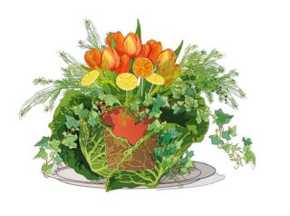 composizione-con-cavolo-verza composizione-con-cavolo-verza