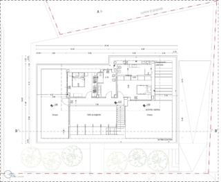 pianta primo piano pianta primo piano