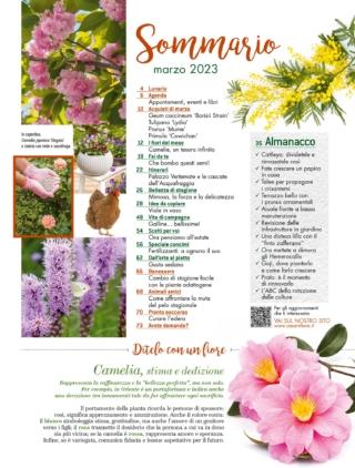 CIF03-sommario CIF03-sommario