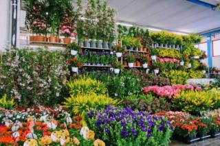 FieraVita in Campagna_Giardino FieraVita in Campagna_Giardino