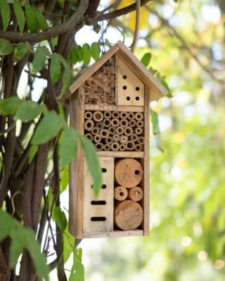 Primavera in giardino Primavera in giardino