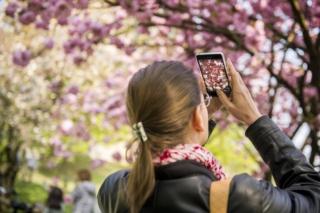 Soffio di Primavera _Foto Gabriele Basilico_2017_(C) FAI - Fondo Ambiente Italiano Soffio di Primavera _Foto Gabriele Basilico_2017_(C) FAI - Fondo Ambiente Italiano
