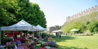 Fiori nella Rocca. XV Edizione Fiori nella Rocca. XV Edizione