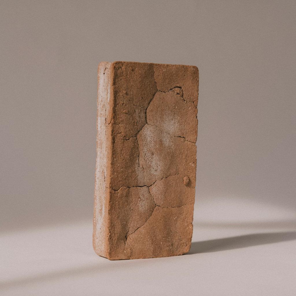 menzione speciale, Fragmentario, Avocado Seed Brick menzione speciale, Fragmentario, Avocado Seed Brick