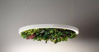Un rigoglioso giardino a testa in giù per la sospensione Gavin Silence Leaf di Olev che è formata da un anello di luce a Led all'interno del quale alloggia una composizione di foglie colorate che, grazie al trattamento di stabilizzazione, non richiedono né acqua né manutenzione rimanendo inalterate nel tempo. La fonte luminosa è regolabile in intensità. È disponibile in tre formati e anche nella versione rettangolare. Misura Ø 50/70/100 cm.  www.olelight.com Un rigoglioso giardino a testa in giù per la sospensione Gavin Silence Leaf di Olev che è formata da un anello di luce a Led all'interno del quale alloggia una composizione di foglie colorate che, grazie al trattamento di stabilizzazione, non richiedono né acqua né manutenzione rimanendo inalterate nel tempo. La fonte luminosa è regolabile in intensità. È disponibile in tre formati e anche nella versione rettangolare. Misura Ø 50/70/100 cm.  www.olelight.com