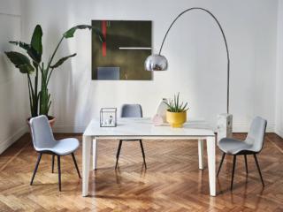 Le sedie Dalia di Midj hanno la scocca, con una linea sinuosa, rivestita in tessuto azzurro chiaro, ma sono disponibili anche in velluto, in pelle o in similpelle. Le gambe sottili sono in legno impiallacciato tinto nero. www.midj.com Le sedie Dalia di Midj hanno la scocca, con una linea sinuosa, rivestita in tessuto azzurro chiaro, ma sono disponibili anche in velluto, in pelle o in similpelle. Le gambe sottili sono in legno impiallacciato tinto nero. www.midj.com