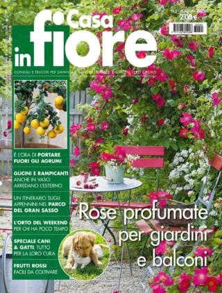 CIF05_cover CIF05_cover