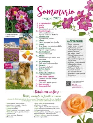 CIF05_sommario CIF05_sommario