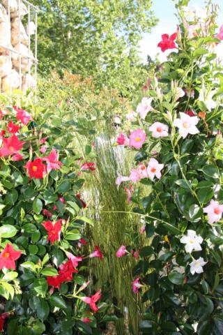 Giardini & Terrazzi Bologna