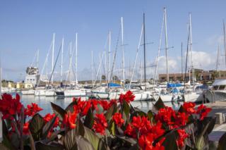 Yacht & Garden Marina di Genova