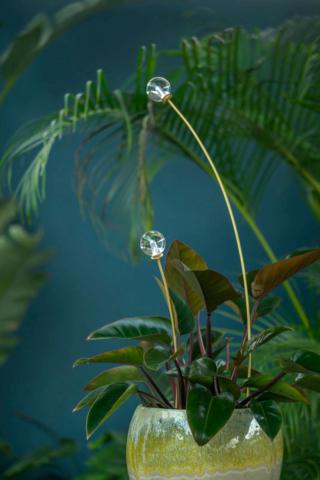 In occasione della Milano Design Week Platek presenta la nuova luce outdoor Balina disegnata da Sara Moroni. Il diffusore a sfera, che ricorda una biglia, è disponibile in due finiture diverse: vetro trasparente che può essere attraversato dalla luce e vetro opalino che invece la diffonde. Il sottile stelo in acciaio con picchetto permette di ambientarla in modi diversi e la rende leggera ed elegante.    www.platek.eu - Platek Professional Space, Corso Monforte 7, Milano In occasione della Milano Design Week Platek presenta la nuova luce outdoor Balina disegnata da Sara Moroni. Il diffusore a sfera, che ricorda una biglia, è disponibile in due finiture diverse: vetro trasparente che può essere attraversato dalla luce e vetro opalino che invece la diffonde. Il sottile stelo in acciaio con picchetto permette di ambientarla in modi diversi e la rende leggera ed elegante.    www.platek.eu - Platek Professional Space, Corso Monforte 7, Milano