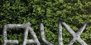 Faux. Maria Loboda Faux. Maria Loboda